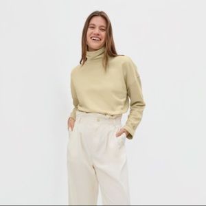 Everlane Turtleneck Sweatshirt